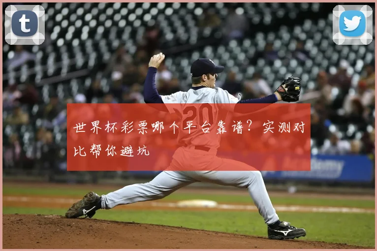 世界杯彩票哪个平台靠谱？实测对比帮你避坑