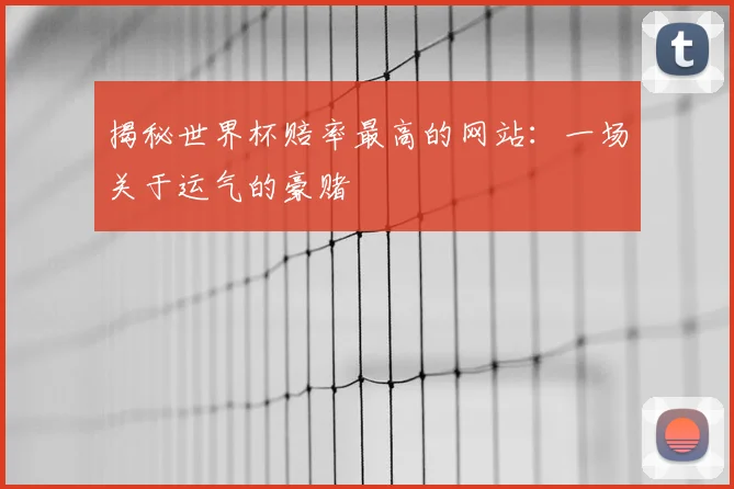 揭秘世界杯赔率最高的网站：一场关于运气的豪赌