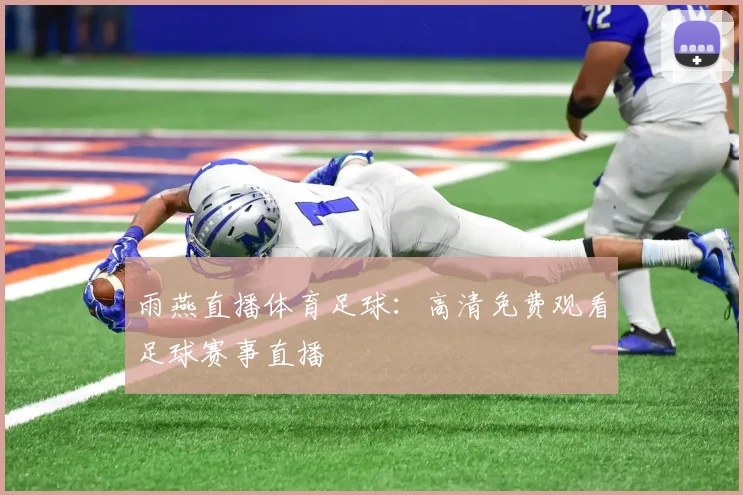 雨燕直播体育足球:高清免费观看足球赛事直播