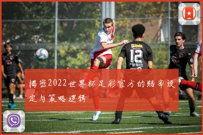 揭密2022世界杯足彩官方的赔率设定与策略逻辑